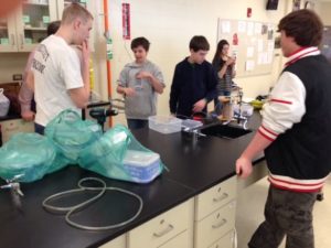 lab