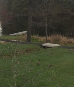 Two wooden docks extending into a pond, surrounded by grass and bare trees