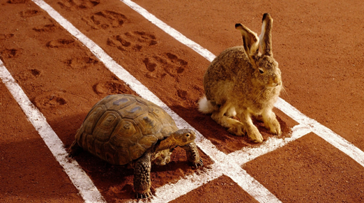 A tortoise and a hare sitting side by side at the starting line of a race track
